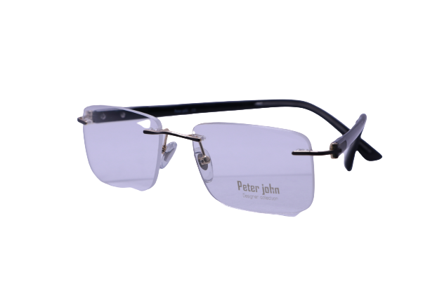 Chandan Optics - PETER JOHN - Eyeglasses - RECTANGLE - Image 2